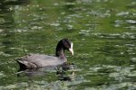 DSC_5901.jpg