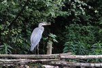 DSC_5923.jpg