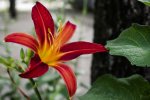 IMGP1022-2.jpg