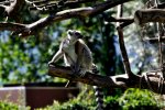 DSC_0185.JPG