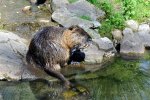 DSC_0101.JPG