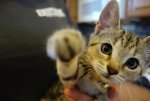 DSC01748[1].jpg
