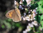DSC_3192.jpg