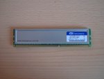 DSC06503.jpg