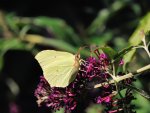 DSC_3380.jpg