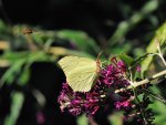 DSC_3382.jpg