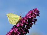 DSC_3401.jpg