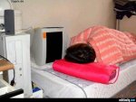 mit-dem-pc-im-bett.jpg