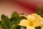 IMG_3133.jpg