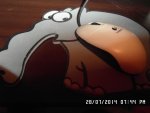 SAM_3179.jpg