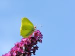 DSC_3402.jpg