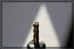 comp_9m6b1917x6xmv.jpg