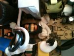 image-3485493532.jpg