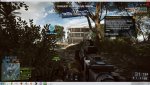 bf4 .jpg