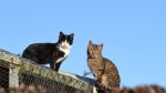 DSC_0084.JPG