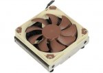 Noctua HN9i.jpg
