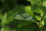 IMG_3279.jpg