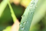 IMG_3301.jpg