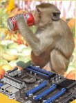 affe-verschüttet-cola auf mainboard.jpg