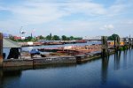 DSC_4786.jpg