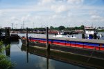 DSC_4796.jpg