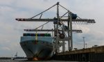Cosco Beijing am Containerterminal Tollerort Hamburg 2-8-14.jpg