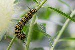 _DSC2569.jpg