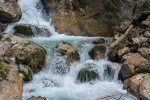 _DSC2895.jpg