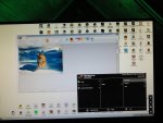 DSC02397.jpg