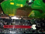 image-3695439797.jpg