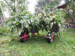 ForumRunner_20140830_135247.png