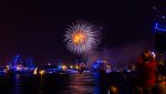 Feuerwerk 3 Hamburg 1-8-14.jpg