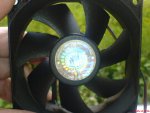 DSC00183.JPG