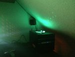 IMG_3350.jpg