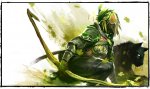 hero-ranger.jpg