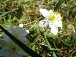 DSC00224.jpg