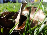 DSC00221.jpg