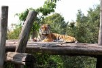IMG_3376.jpg