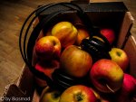 IMG_4228-3.jpg