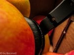 IMG_4230-2.jpg