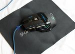 mouse (1).jpg