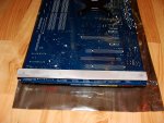 DSC08174.jpg