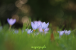 image-1675109886.png