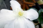 R0000135.JPG