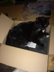 image-1997305681.jpg