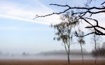 DSC_5815.jpg
