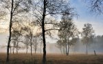 DSC_5816.jpg