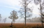 DSC_5822.jpg