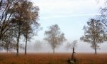 DSC_5824.jpg