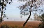 DSC_5826.jpg